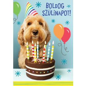 Cardex - Üdvözlőlap - Boldog szülinapot!