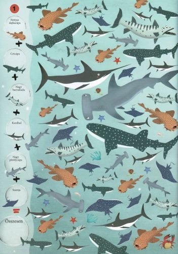 Bongéssz és számolj! - A tenger állatai