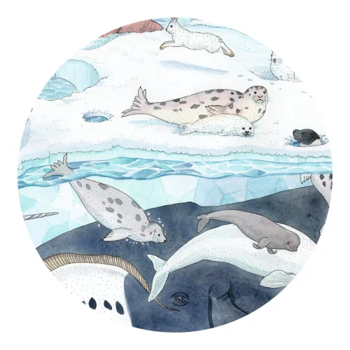 Formadobozos puzzle - Élet a sarkvidéken, 54 db-os - Polar softness