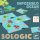 Sologic - Logikai lehetetlen óceán