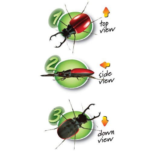 Három nézőszögű bogárvizsgáló - Triple Bug Viewer – 3 way