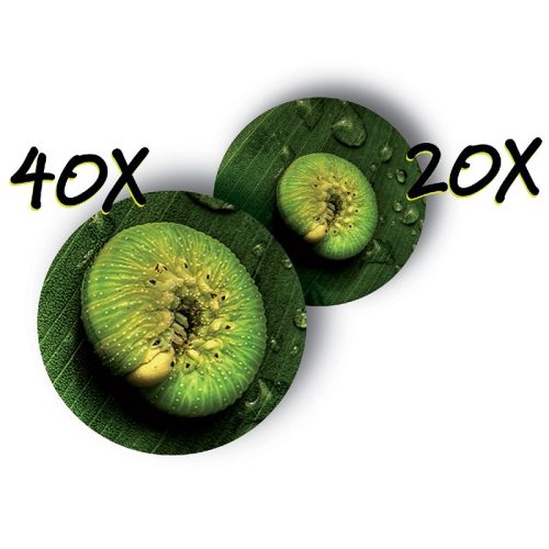 Hordozható mikroszkóp - Zoomscope – Microscope