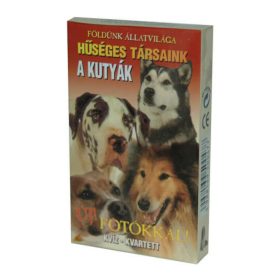Kártya: A kutyák Kártya: A kutyák