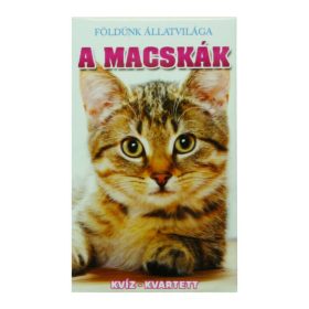 Kártya: A macskák Kártya: A macskák