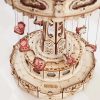 Körhinta - mechanikus modell (3D puzzle)