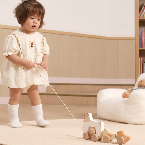 Húzogatós tyúkanyó kiscsibékkel (PolarB)