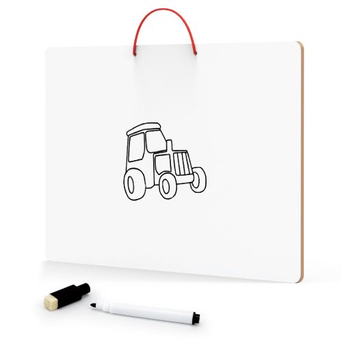 Mágneses világtérkép (V)