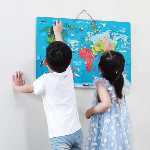 Mágneses világtérkép (V)