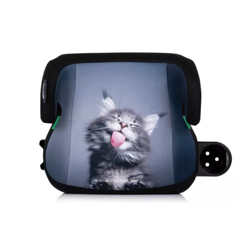 Chipolino Go Boost Iso autós ülésmagasító 125-150 cm - cat
