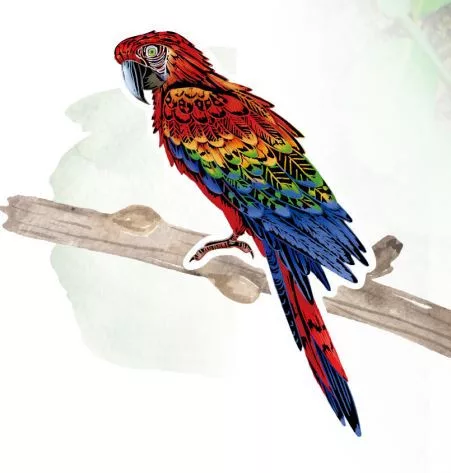 Karckép matricák, Madarak Avenir