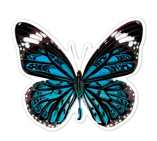 Karckép matricák, Pillangók Avenir