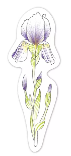 Vízzel festő kreatív könyvjelző készlet, Virágok Avenir