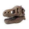 BUKI - Régész készlet - Tyrannosaurus koponya