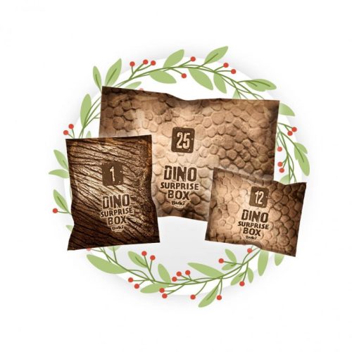 BUKI - Dinoszaurusz meglepetés doboz - tudományos játék