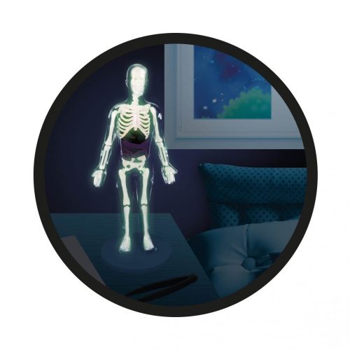 Az emberi test - tudományos készlet