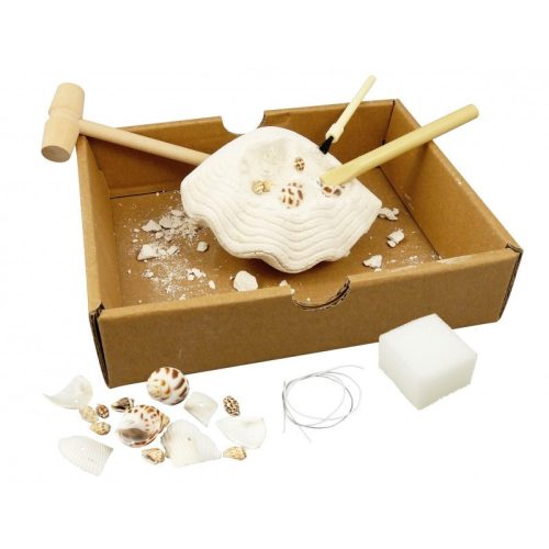 BUKI - Kagylók - felfedező készlet