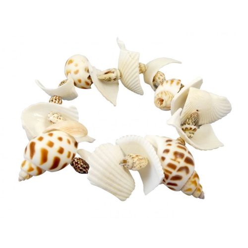 BUKI - Kagylók - felfedező készlet