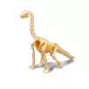 Dínó csontváz felfedező készlet Brachiosaurus BUKI