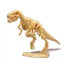 Dínó csontváz felfedező készlet T-Rex BUKI