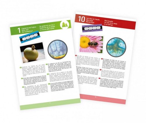 BUKI - Mikroszkóp - 15 kísérlettel - tudományos készlet