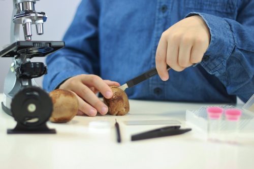 Mikroszkóp - 30 kísérlettel - tudományos készlet