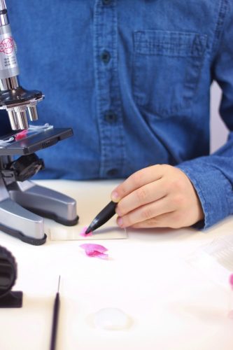 Mikroszkóp - 30 kísérlettel - tudományos készlet