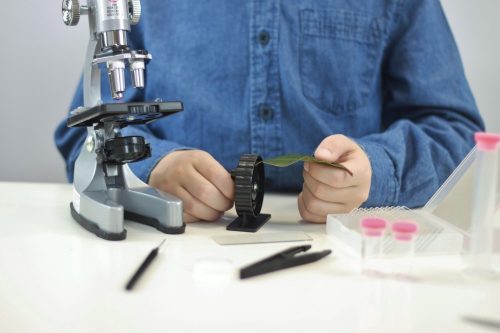 Mikroszkóp - 30 kísérlettel - tudományos készlet