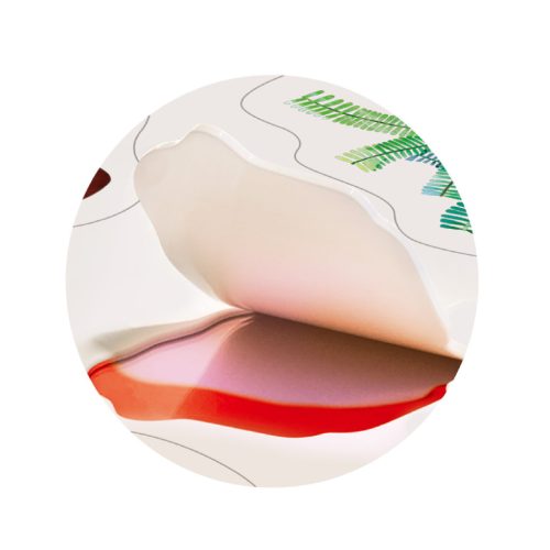 Zselés matricázó készlet, A dínók földjén MierEdu