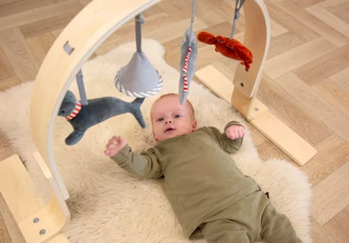 Tryco - Babatornáztató - Baby Gym