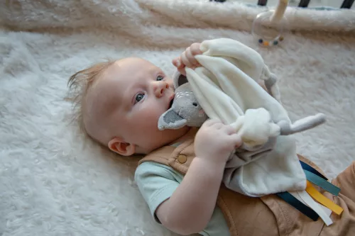 Tryco Plüss szundikendő Kyle a koala