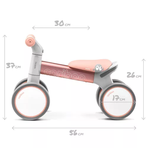 Cariboo Team kismotor - Pink