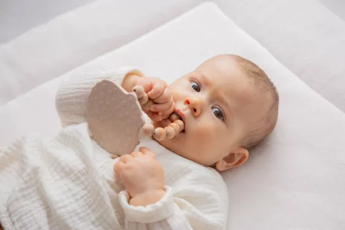 Label Label - Silicone & Wood kagyló alakzatú rágóka -nugát szín