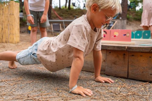 BS Toys Torna Memória