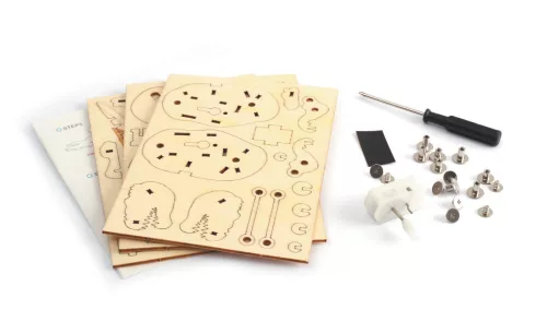 Graine Creative 3D fa modell – T-Rex