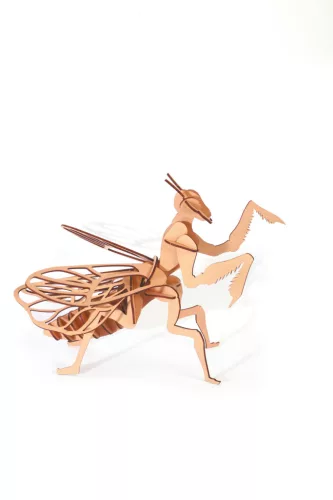 Graine Creative 3D puzzle – Imádkozó sáska