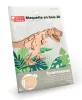 Graine Creative 3D puzzle – T-Rex