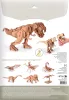 Graine Creative 3D puzzle – T-Rex