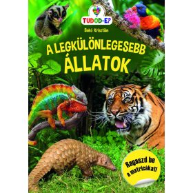 Szalay Könyvek - Legkülönlegesebb állatok - matricás füzet   Szalay Könyvek - Legkülönlegesebb állatok - matricás füzet
