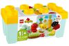LEGO DUPLO -Biokert