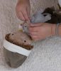LITTLE DUTCH - Jake - textilbaba - 35 cm
