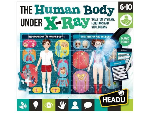 HEADU - Az emberi test röntgen alatt - logikai puzzle (angol nyelvű)