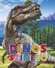 Dinós színező- Palincs Játék