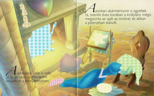 Ragassz hercegnőket - Csipkerózsika- Napraforgó Kiadó