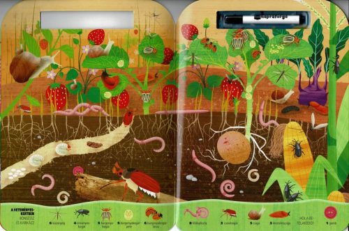 Böngéssz és karikázz! - Bogarak - Napraforgó Kiadó