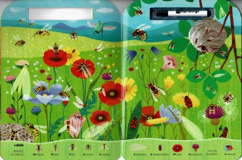 Böngéssz és karikázz! - Bogarak - Napraforgó Kiadó