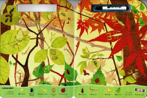 Böngéssz és karikázz! - Bogarak - Napraforgó Kiadó