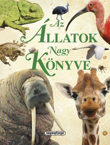 Az állatok nagy könyve - Napraforgó Kiadó - Palincs Játék