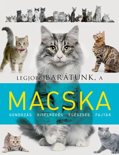 Legjobb barátunk, a macska - Palincs Játék