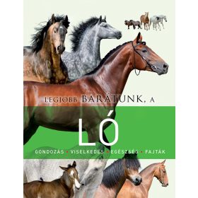 Legjobb barátunk, a ló - ismeretterjesztő könyv - Palincs Játék