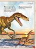 Varázslatos útmutató a dinoszauruszokhoz - ismeretterjesztő könyv - Palincs Játék